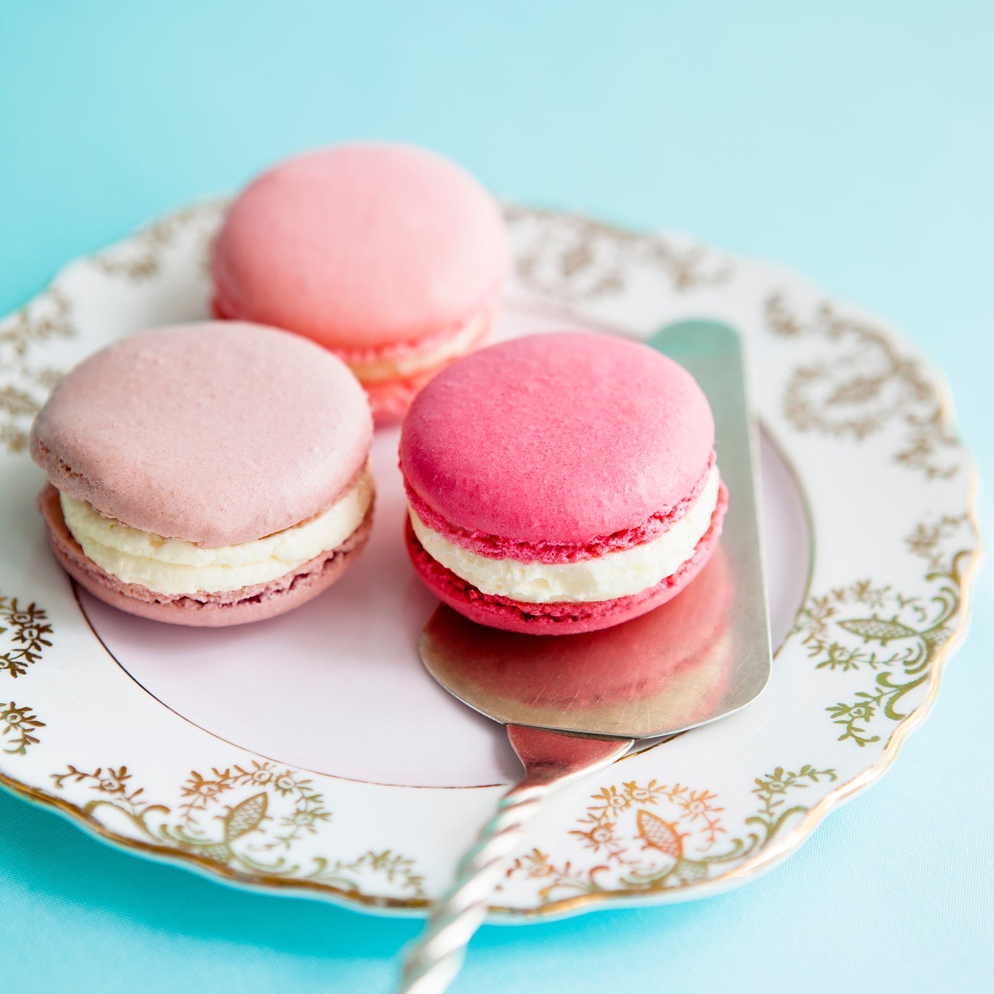 Macarons a delicious sweet treat